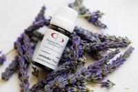 ペニープライスよりご挨拶