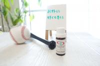 アロマセラピーと蚊