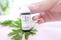 「ゼラニウム」梅雨から夏にかけての使い方