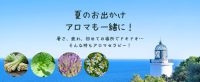 夏のアロマ活用術～外出時はこの香り～
